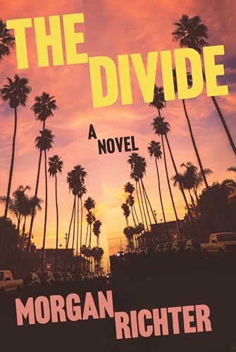cover image The Divide