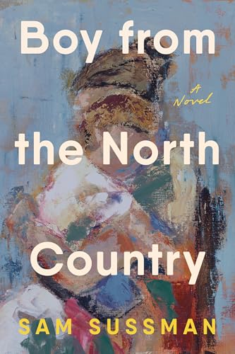 cover image Boy from the North Country