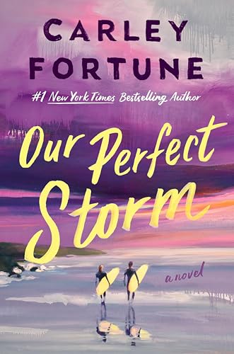 cover image Our Perfect Storm