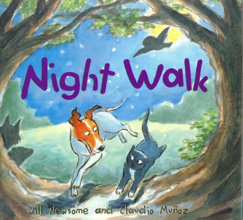 cover image NIGHT WALK