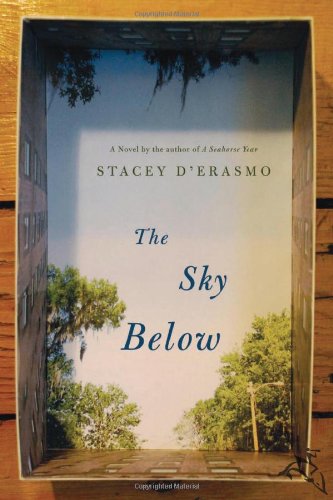 cover image  The Sky Below