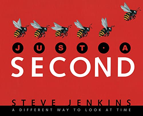 cover image Just a Second: A Different Way to Look at Time