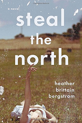 cover image Steal the North
