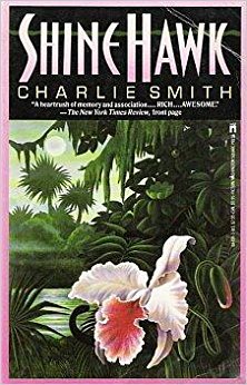 cover image Shine Hawk