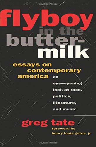 cover image Flyboy in the Buttermilk: Essays on Contemporary America