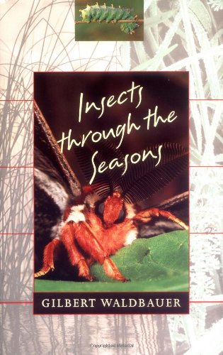 cover image Insects Through the Seasons