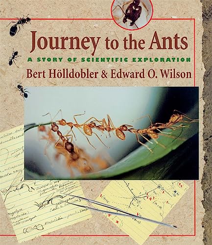 cover image Journey to the Ants: A Story of Scientific Exploration