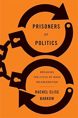 cover image Prisoners of Politics: Breaking the Cycle of Mass Incarceration