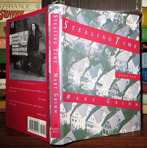 cover image Stealing Time