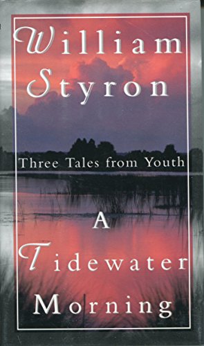 cover image A Tidewater Morning: Three Tales from Youth