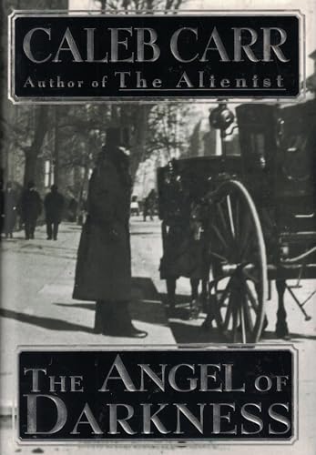 cover image The Angel of Darkness