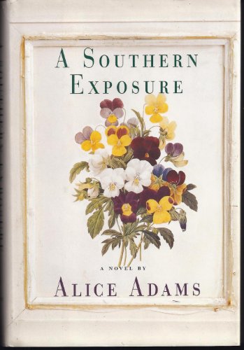 cover image A Southern Exposure