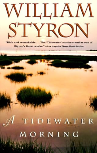 cover image A Tidewater Morning