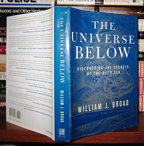 cover image The Universe Below