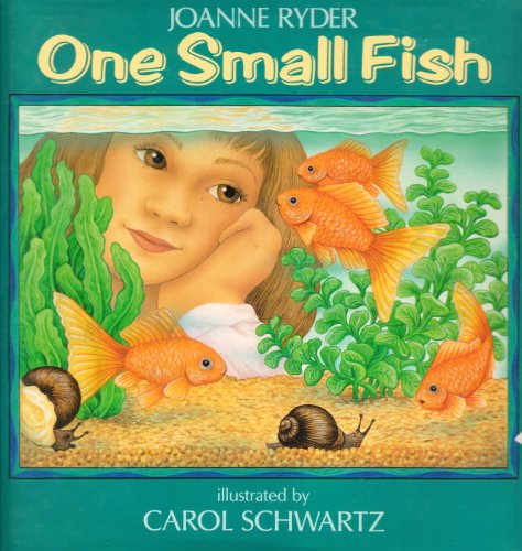 cover image One Small Fish