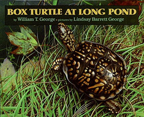 cover image Box Turtle at Long Pond