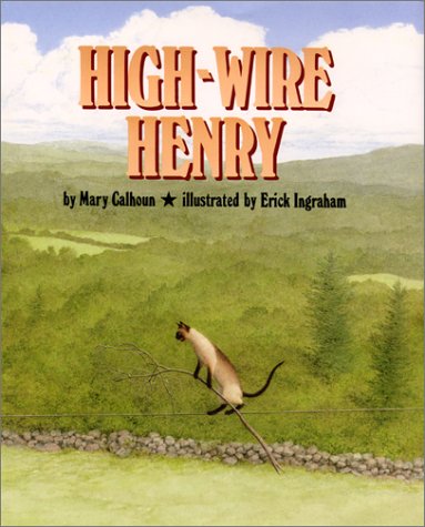 cover image High-Wire Henry