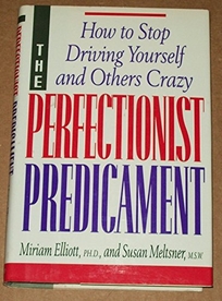 The Perfectionist Predicament: How to Stop Driving Yourself and Others Crazy