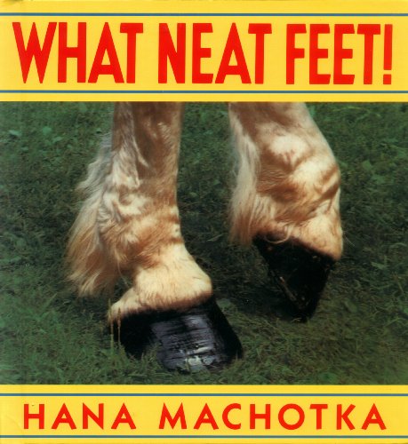 cover image What Neat Feet!