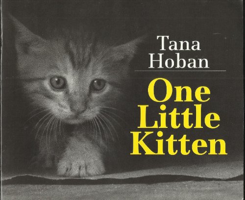 cover image One Little Kitten