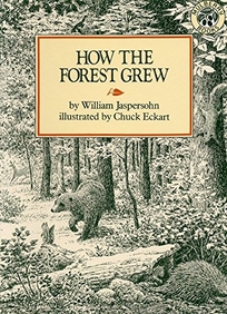 How the Forest Grew