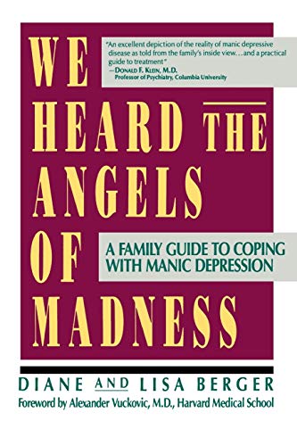 cover image We Heard the Angels of Madness
