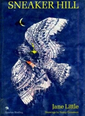 cover image Sneaker Hill