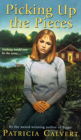 cover image Picking Up the Pieces