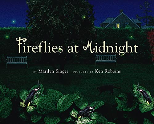 cover image Fireflies at Midnight