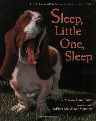 cover image Sleep, Little One, Sleep