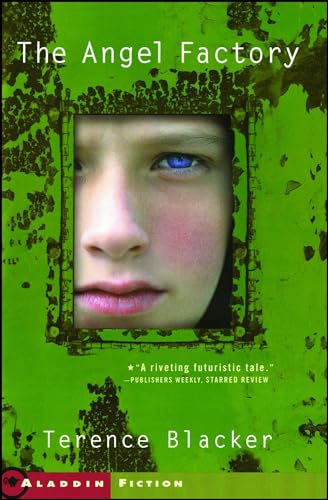 cover image THE ANGEL FACTORY