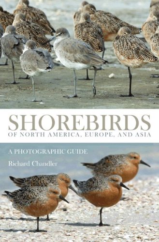cover image Shorebirds of North America, Europe, and Asia: A Photographic Guide