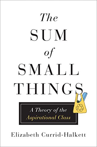 cover image The Sum of Small Things: A Theory of the Aspirational Class 