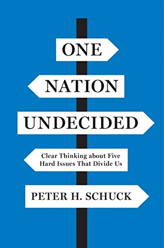 cover image One Nation Undecided: Clear Thinking About Five Hard Issues That Divide Us 