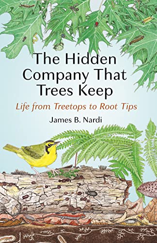 cover image The Hidden Company That Trees Keep: Life from Treetops to Root Tips