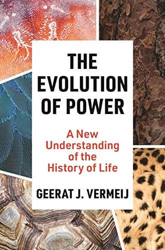 cover image The Evolution of Power: A New Understanding of the History of Life