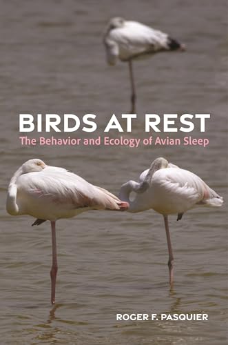 cover image Birds at Rest: The Behavior and Ecology of Avian Sleep