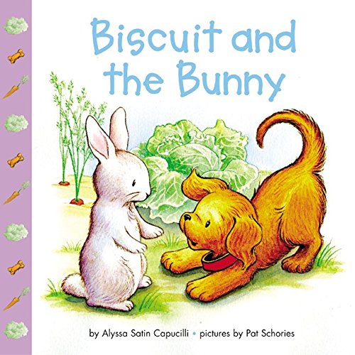 cover image Biscuit and the Bunny
