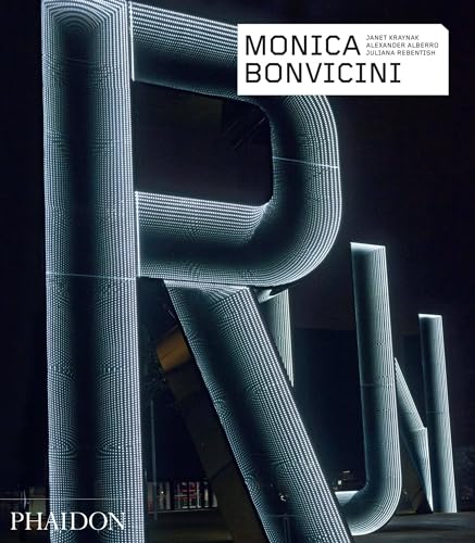 cover image Monica Bonvincini 
