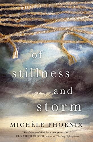 cover image Of Stillness and Storm