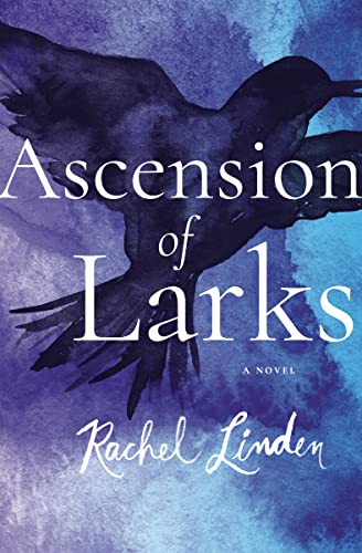 cover image Ascension of Larks