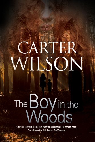 cover image The Boy in the Woods