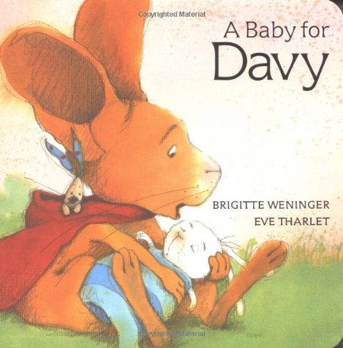 cover image A Baby for Davy