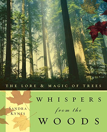cover image Whispers from the Woods: The Lore & Magic of Trees