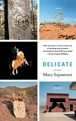 cover image DELICATE: Stories