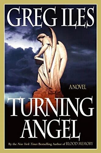 cover image Turning Angel