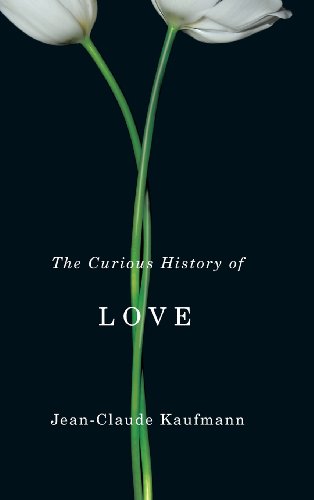 cover image The Curious History of Love%E2%80%A8