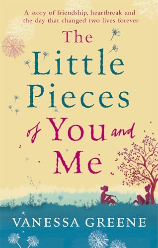 cover image The Little Pieces of You and Me