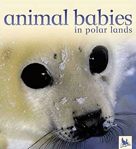 cover image Animal Babies in Polar Lands