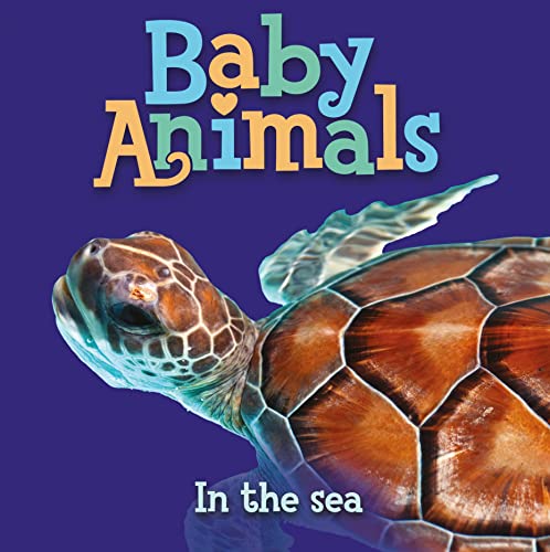 cover image Baby Animals: In the Sea